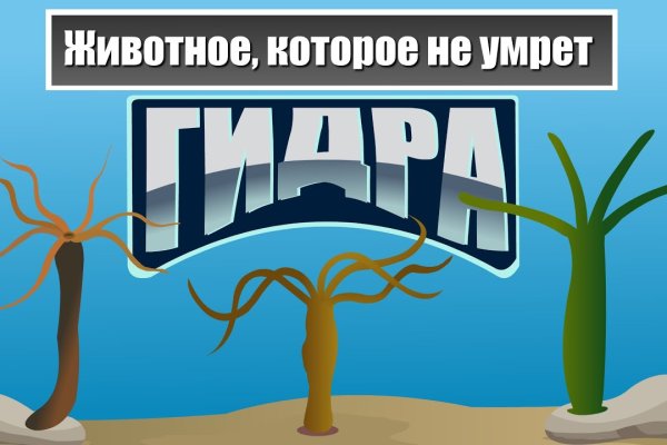 Кракен маркет плейс