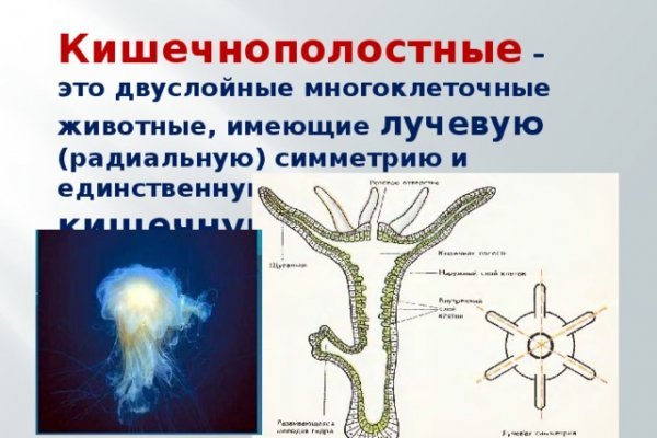 Главная страница кракен